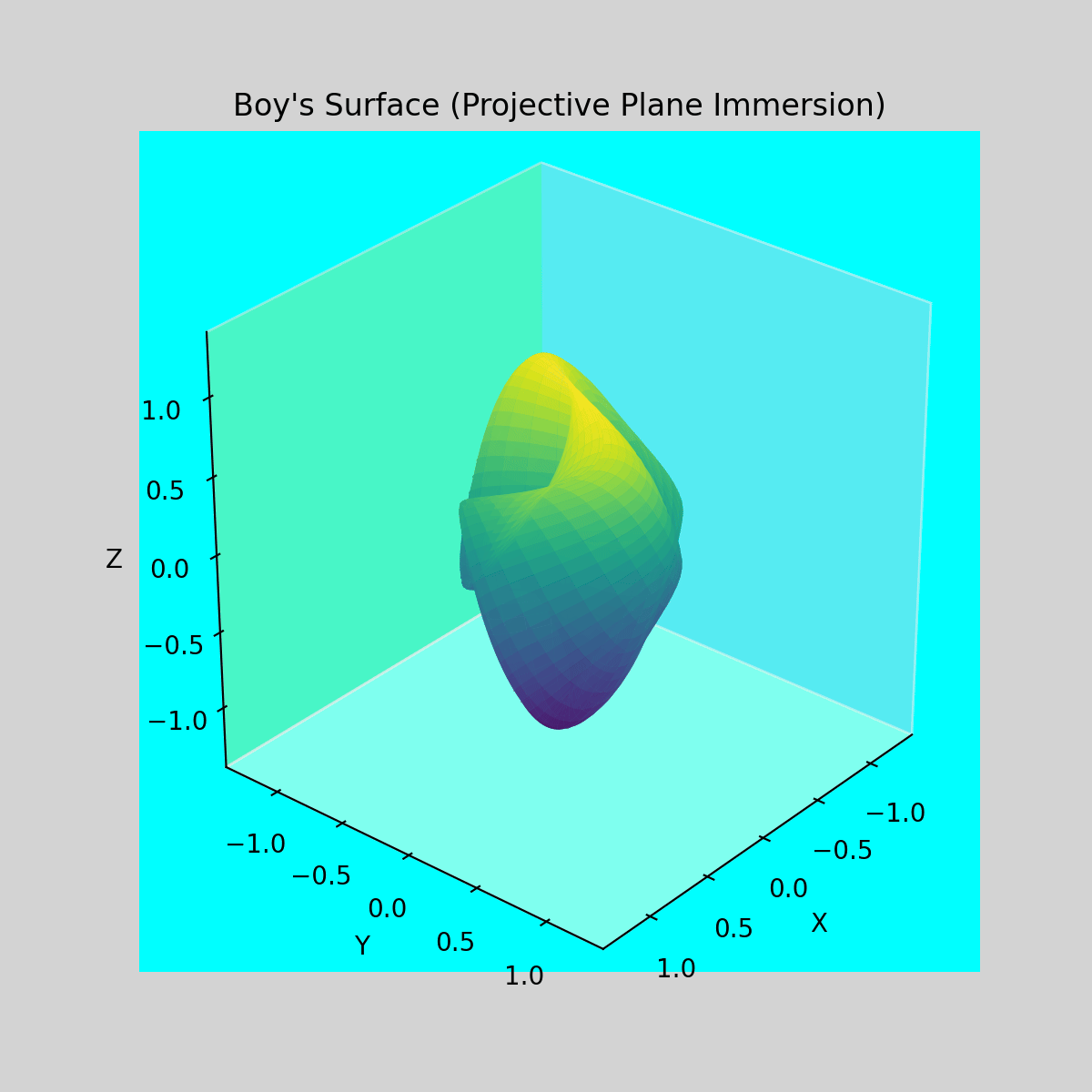 Boy's Surface